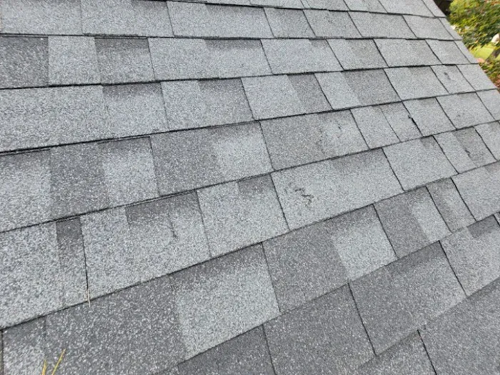 3W Roofing Picture 6