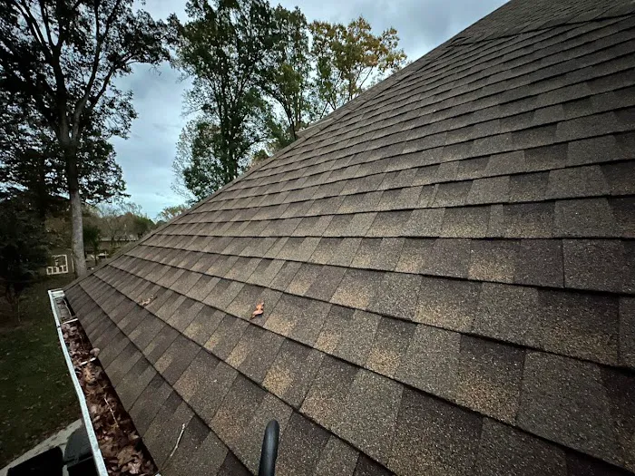 Roof Medic Picture 1