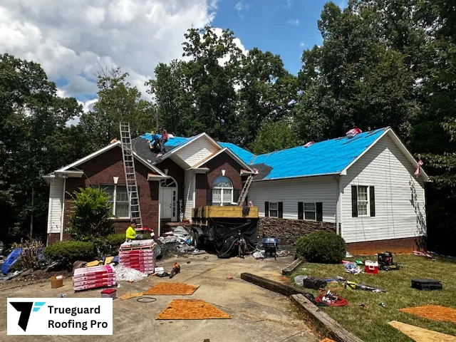 Trueguard Roofing Pro Picture 4