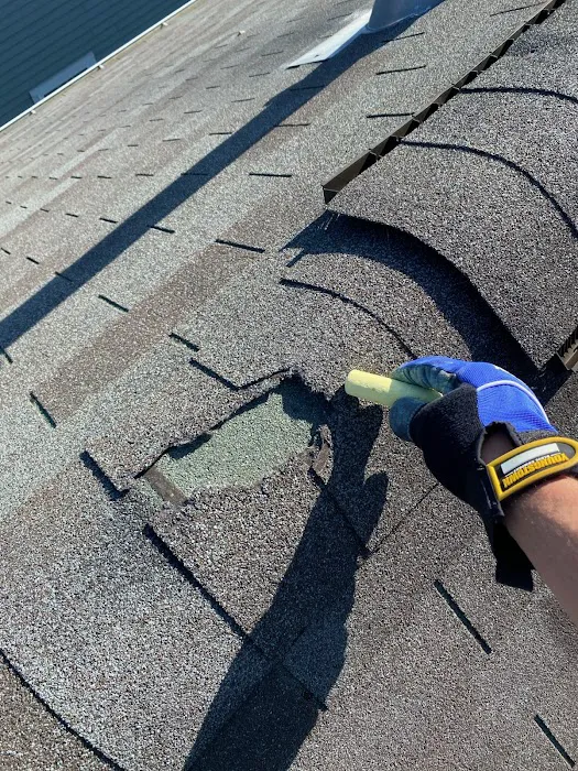 Trueguard Roofing Pro Picture 2
