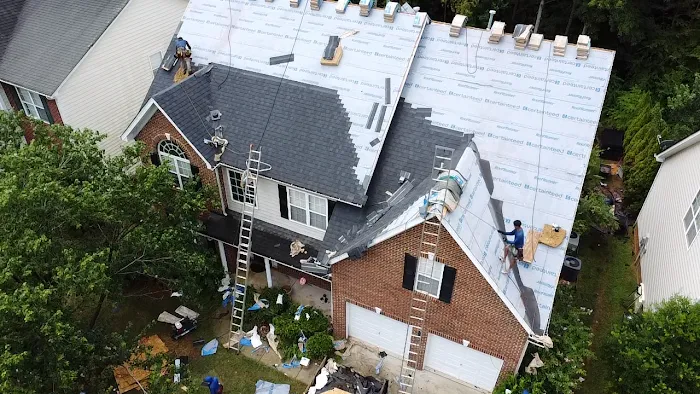 ROOF LIFE Picture 10