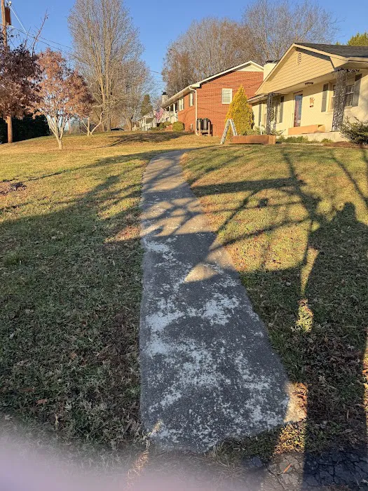 Pro Roofing and Exteriors LLC Picture 4