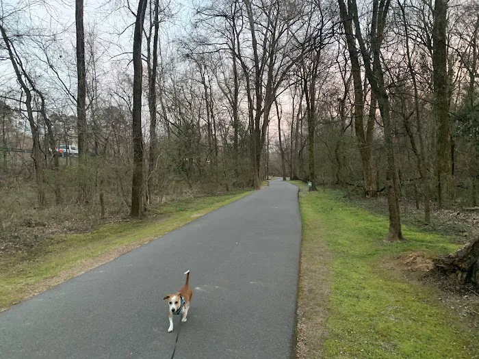 MCI Roofing, Inc Picture 1