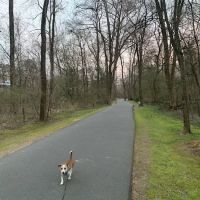 MCI Roofing, Inc ico