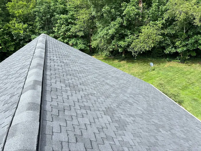 Ready Roofing Picture 7