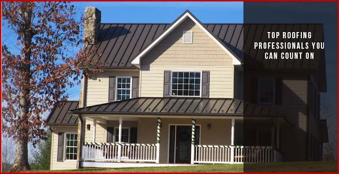 Joe Campbell Roofing - Lewisville Picture 5