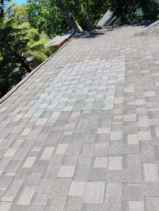 EcoShield Roofing Picture 2
