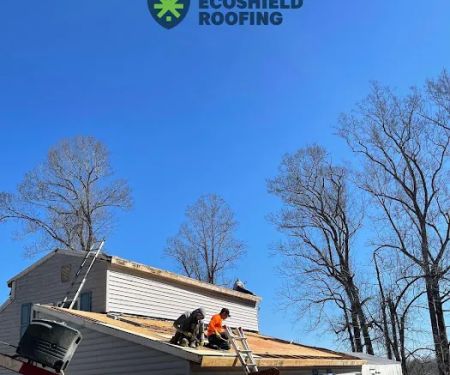 EcoShield Roofing