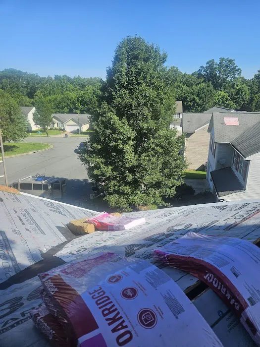 Blue Hat Roofs Picture 10