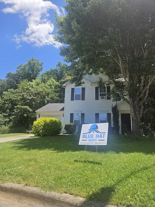 Blue Hat Roofs Picture 8