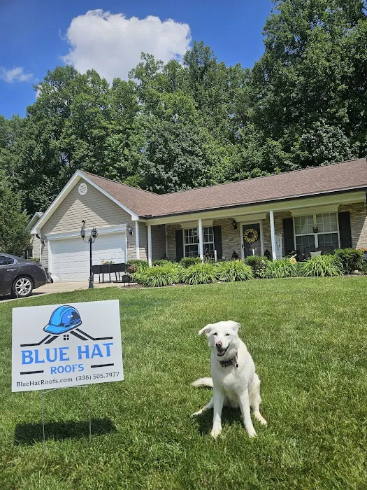 Blue Hat Roofs Picture 7