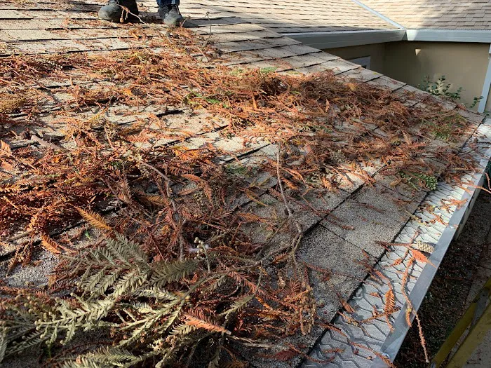 All The Way Gutter Protection and Roofing Picture 8