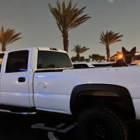 Sandusky Construction ico