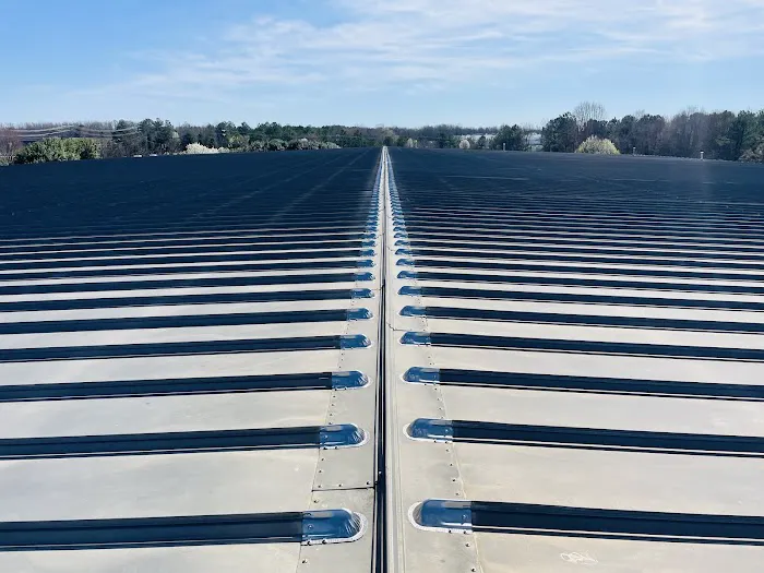 Professional Grade Roofing Picture 2