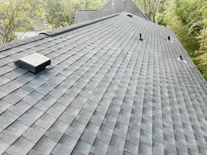Professional Grade Roofing Picture 1