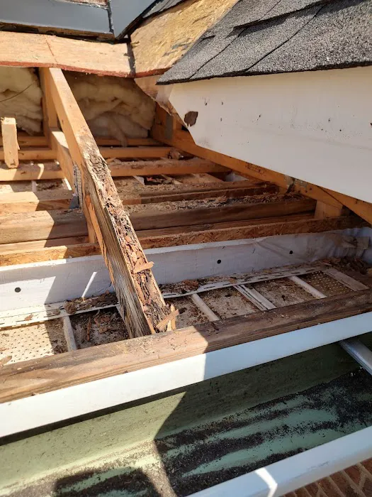 Burris Roofing Co Inc Picture 1