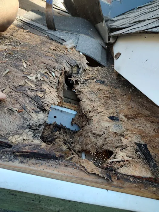 Burris Roofing Co Inc Picture 5