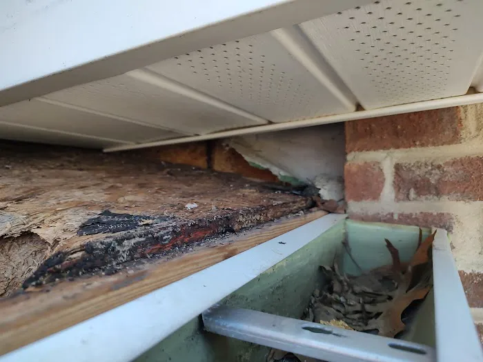 Burris Roofing Co Inc Picture 2