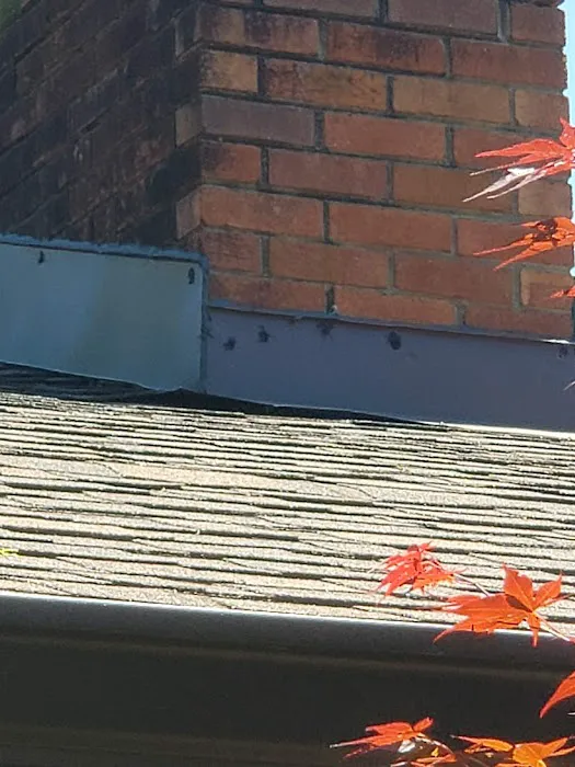 Colby Morton Roofing and Gutters Picture 5