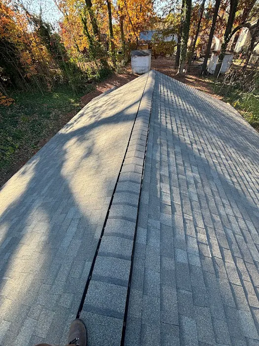 Linares roofing Picture 1