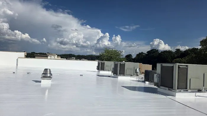 Innovation Restoration Picture 4