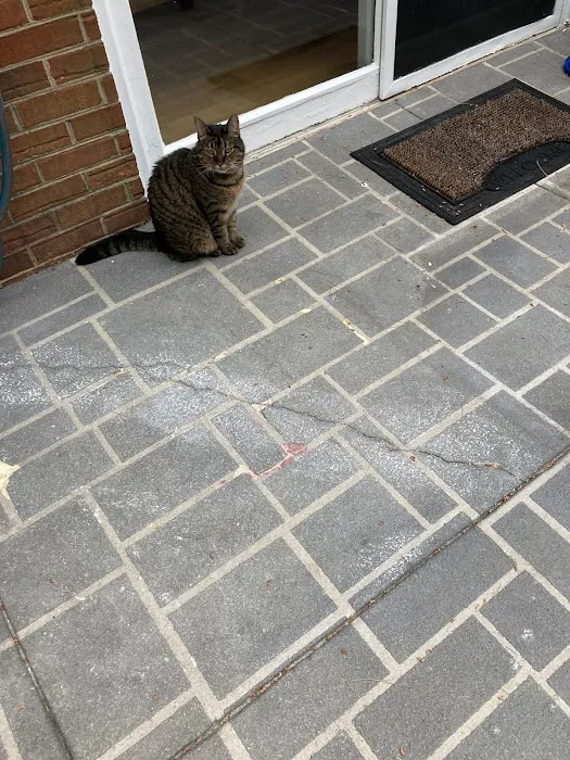 Ideal Roofing & Paving Picture 2