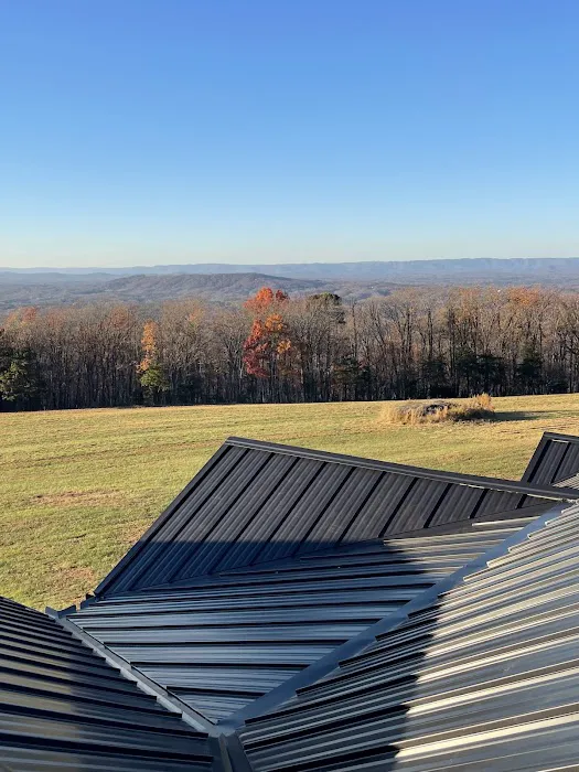 Big Anchor Roofing & Gutters Picture 5