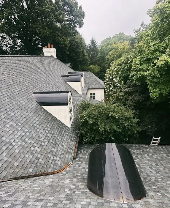 Big Anchor Roofing & Gutters Picture 9