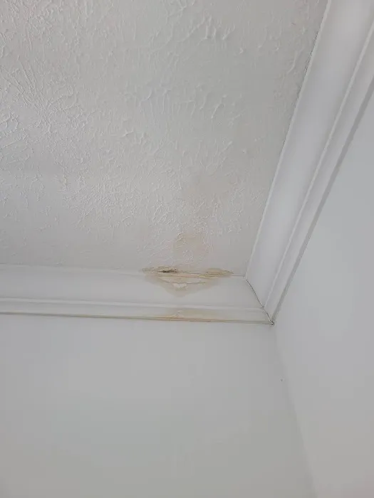 Ladders Up Roofing Picture 1