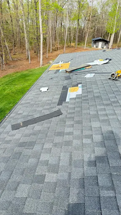 Village Roofs Picture 1