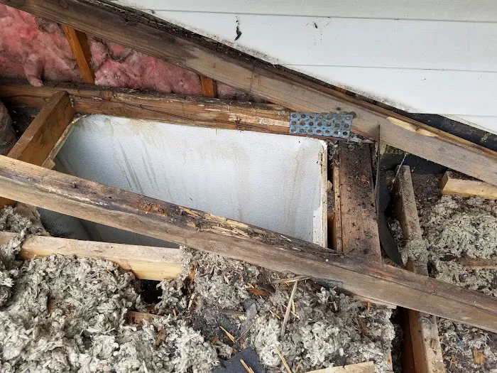 Xterior LLC Picture 2