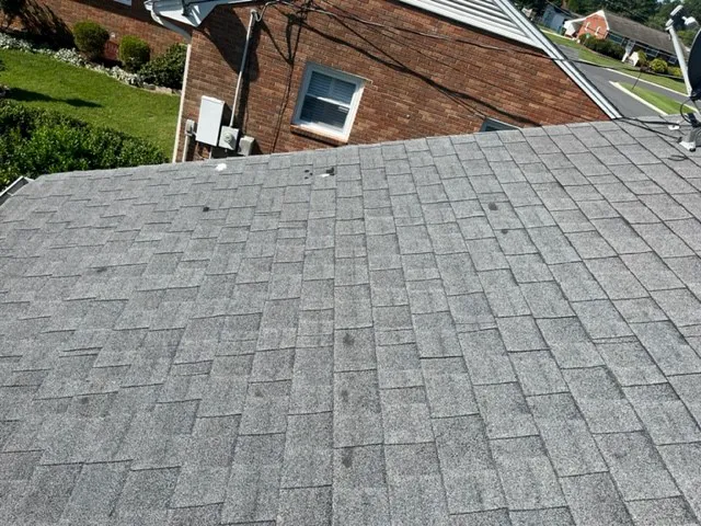 Brigman Roofing Picture 1
