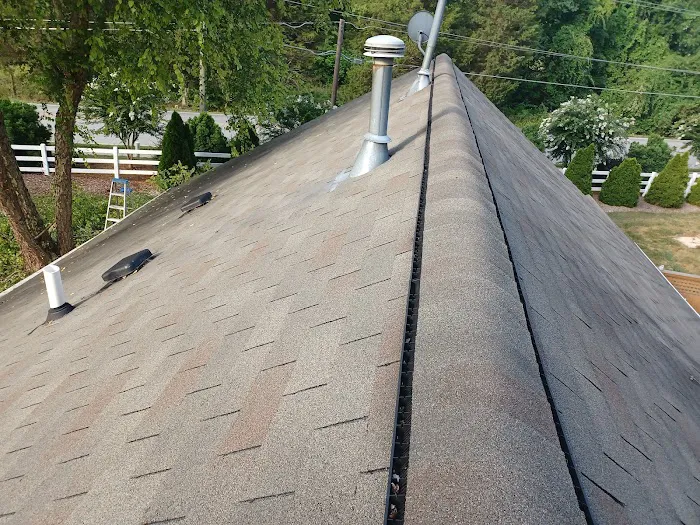 Cost Plus Roofing Picture 1