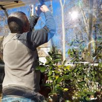 Morris Improvements and Realty, Inc. ico