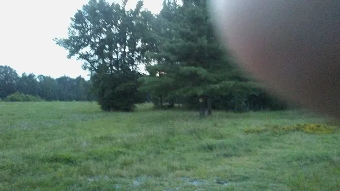 R H Roofing Picture 2