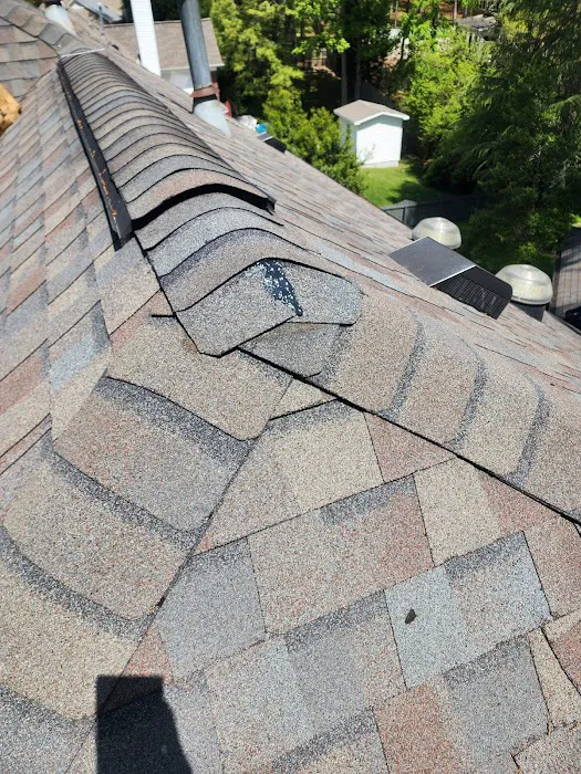 Skywalker Roofing Company Picture 7