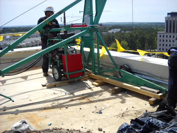 BIRS The Roof Savers Picture 3