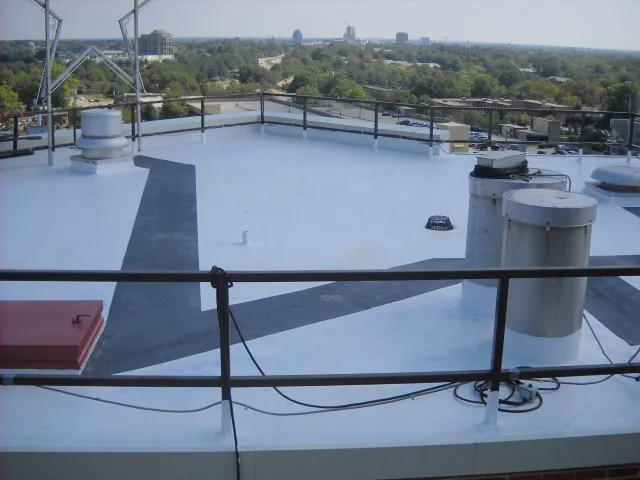 BIRS The Roof Savers Picture 2