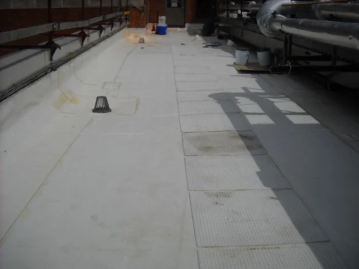 BIRS The Roof Savers Picture 4