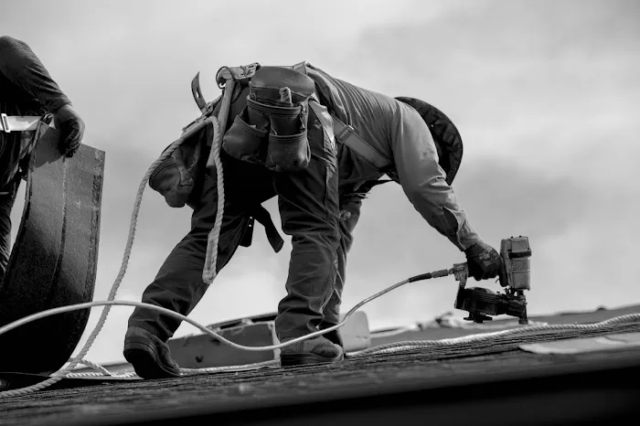 Provision Roofing & Exteriors LLC Picture 6