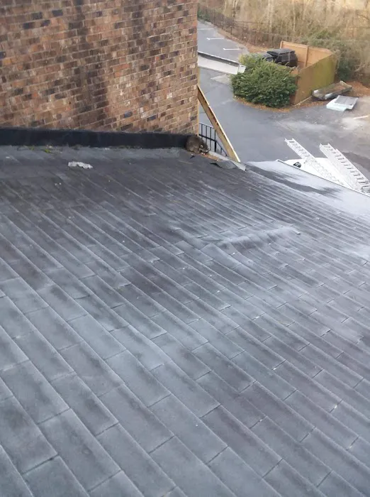 Gwaupo Roofing Picture 10