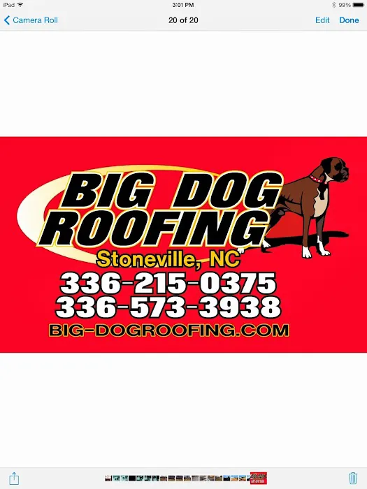 Big Dog Roofing Picture 2