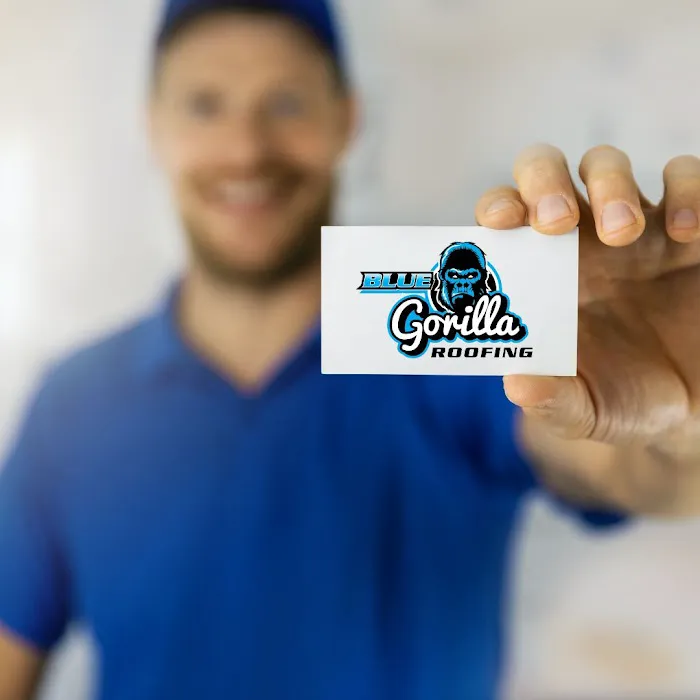 Blue Gorilla Roofing Picture 1