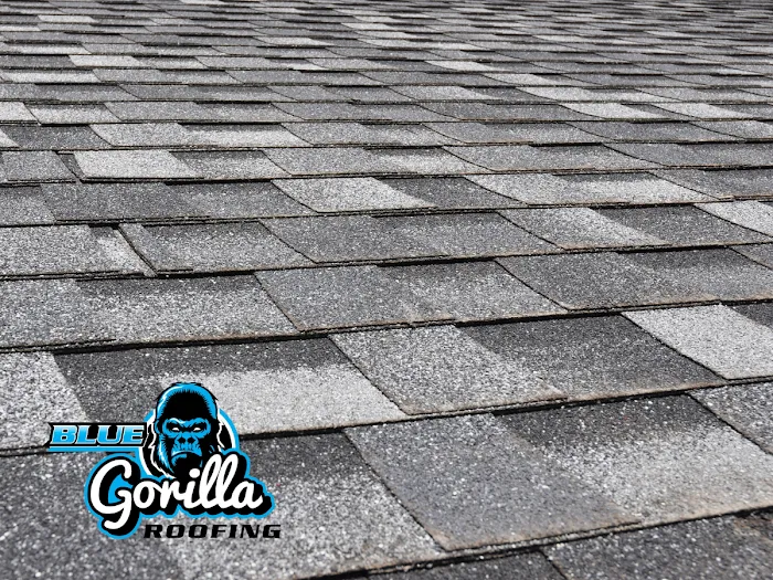 Blue Gorilla Roofing Picture 3