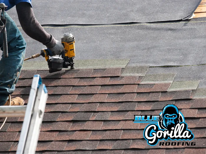 Blue Gorilla Roofing Picture 4