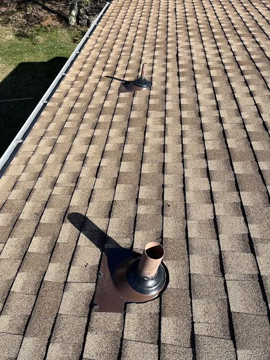 Big Lick Roofing Picture 1