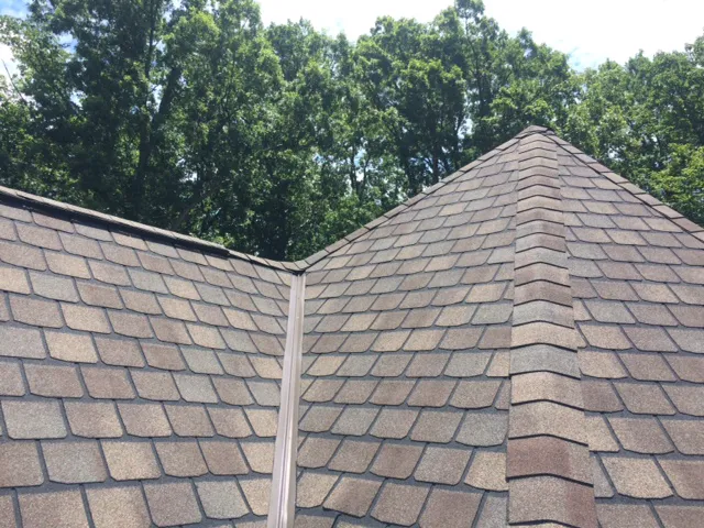 Morganti Roofing, LLC Picture 2