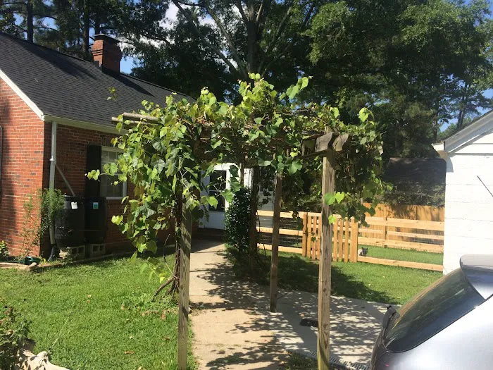 Morganti Roofing, LLC Picture 10