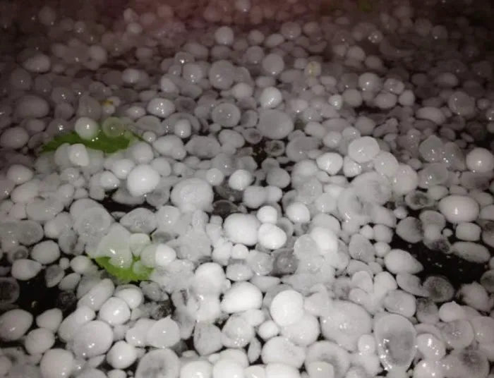 Tidal Roofing Picture 6