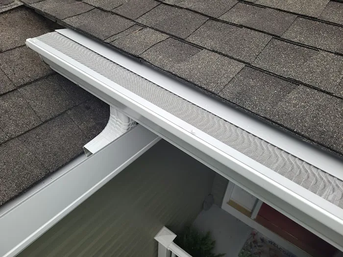Gutter Guards America Picture 2
